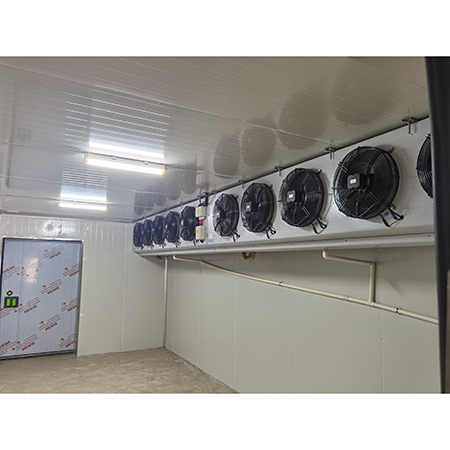 -65℃金枪鱼冷藏库.jpg