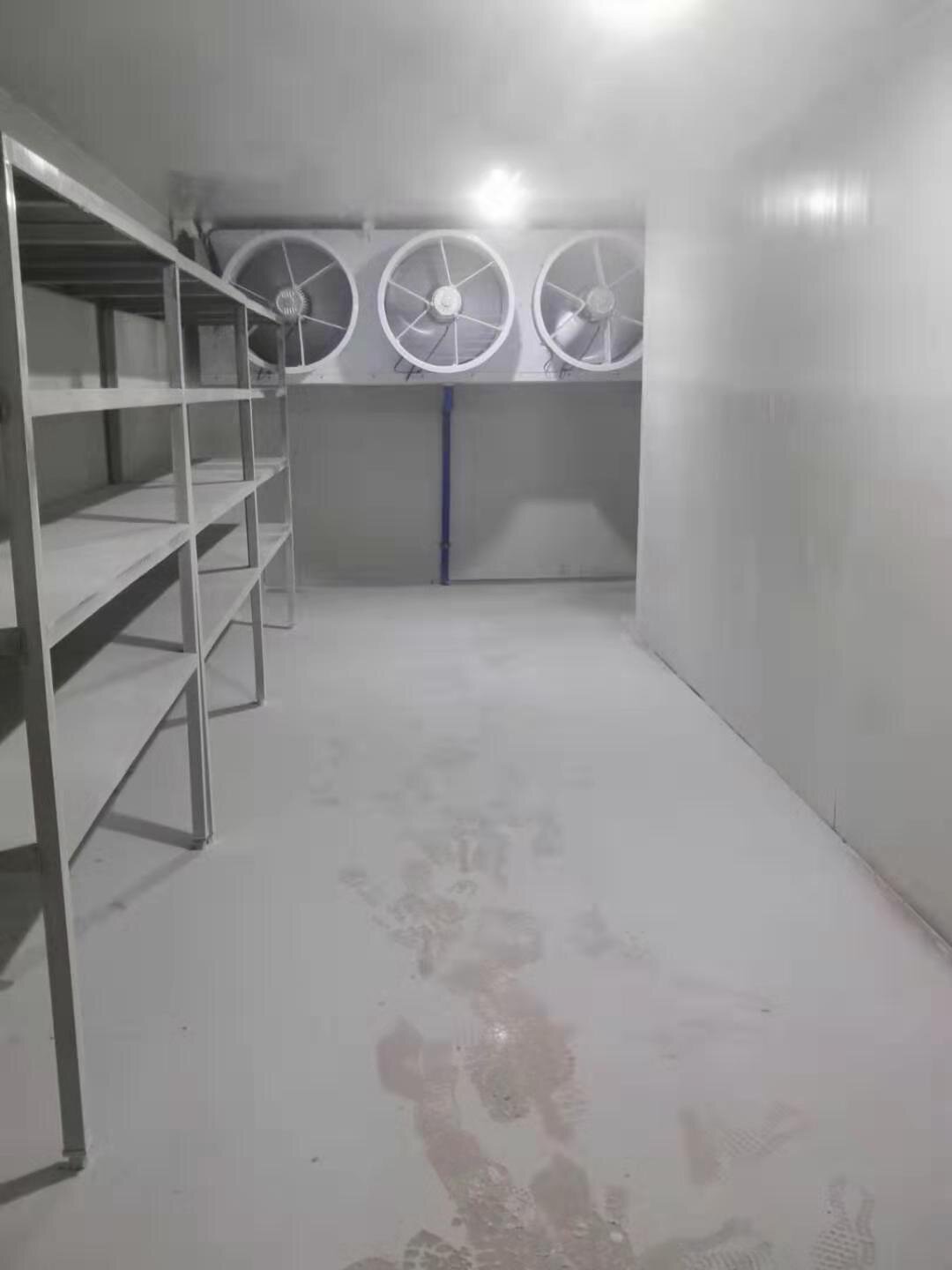 -50速冻库.jpg